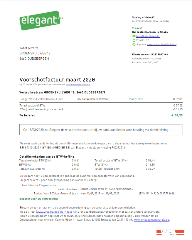 BELGIUM ELEGANT utility bill Word and PDF template